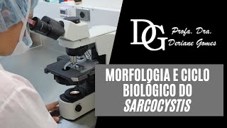 036 Morfologia e Ciclo Biológico do Sarcocystis [upl. by Sairahcaz]