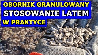 Stosowanie Obornika granulowanego Latem  NIEPRZYDATNE czy KLUCZOWE Jak stosować i kiedy w Praktyce [upl. by Leirea]