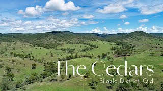 ‘The Cedars’ Biloela Central Qld [upl. by Tolley765]