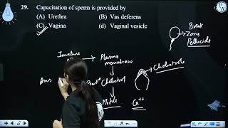 Abdominal ostium is the aperture present in [upl. by Bezanson]