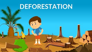 Deforestation  Causes Effects amp Solutions  Video for Kids [upl. by Fiorenze]