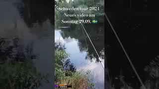 Lachsangeln in Schweden 🇸🇪🤙 twitch fishing live [upl. by Tem536]