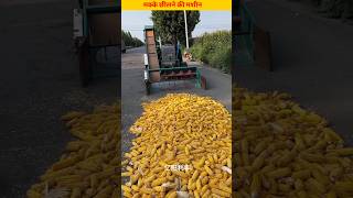 मक्के छिलने की मशीन 😱 corn cuttingmachine youtubeshorts [upl. by Freddi111]