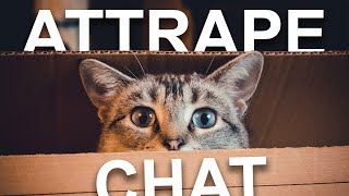 ATTRAPE CHAT [upl. by Marsh]