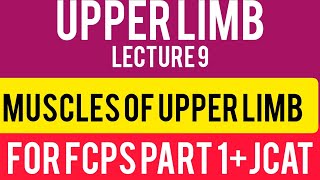 Gross AnatomyUpper Limb Muscles Action and Nerve Supply Part 2 For Fcps Part 1 JCAT [upl. by Cooe17]