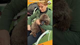 BARBARA FUNGHINI E MERLINO  VALUTAZIONE [upl. by Hermosa]