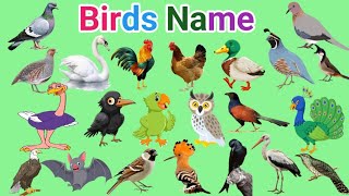 Birds name  10 Birds name  Birds name in english  pakshiyon ke naam  Bird name  name of birds [upl. by Akyeluz871]