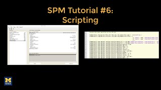 SPM Tutorial 6 Scripting [upl. by Bulley]