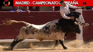 ✅ FINAL DEL CAMPEONATO DE ESPAÑA DE RECORTADORES CON TOROS 2018  MADRID 07102018 [upl. by Crean]