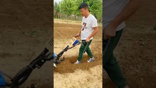 hillside hilly orchard greenhouse cornfield rotarytillage weeding ditching machine [upl. by Nod]