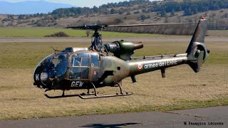 French Army Gazelle AS342 closeup departure [upl. by Naesyar]