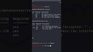 Auto Hacking with Metasploit [upl. by Biddick182]