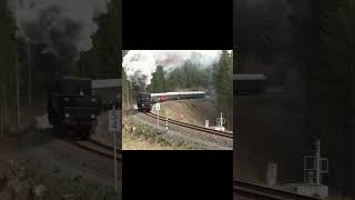 52 8079 gibt alles vogtland dampflok shorts steam trainspotting steamtrain eisenbahn railway [upl. by Ulrich]