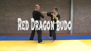 Jeet Kune Do bij Red Dragon Budo [upl. by Edmanda716]