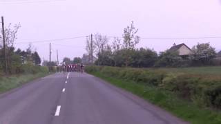 Horse joins cyclists during race [upl. by Nae]