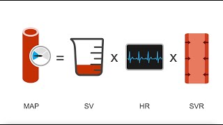 Differentiating cardiogenic shock from other types of shock [upl. by Crow]