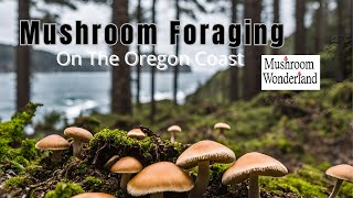 Mushroom Foraging on the Oregon Coast  Spring 2024 [upl. by Pilar]