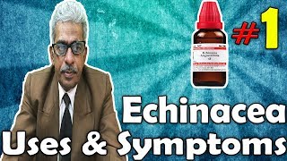 Echinacea Part 1  Uses and Symptoms in Homeopathy by Dr PS Tiwari [upl. by Raynell]