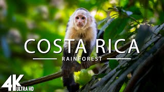 Costa Rica Rainforest 4k  Happiest Country On Earth With Exotic Wildlife  Scenic Relaxation Film [upl. by Tabb]