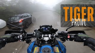 Prowling Tiger in the rain  Tiger 1200 Xcx  4K ASMR Ambient lofi Rain Sound  NH60  India [upl. by Nitsew679]