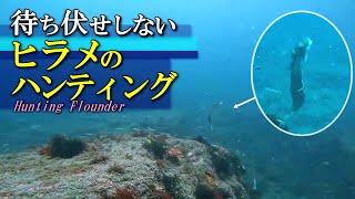 【 ヒラメの捕食 】喰らいつく瞬間！待ち伏せしないハンティング Flounder Hunting [upl. by Lanod]