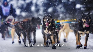 2022 Iditarod Ceremonial Start in Slow Motion [upl. by Butterworth]