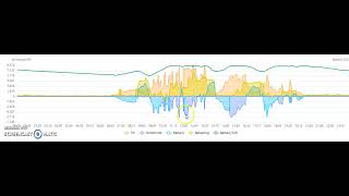 De thuisbatterij maakt overuren in 2024 Nu en dan ontlading in de dag [upl. by Ardnahsal]