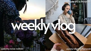 weekly vlog 🌱☀️ sadzimy zioła  nowe roślinki  piekę murzynka 🥧  ciepłe dni w Holandii [upl. by Eralc436]