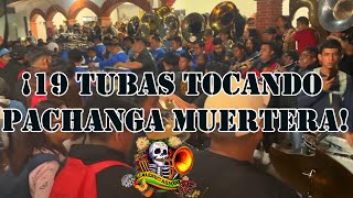 ¡¡Oaxaca Lugar de las Mejores Fusiones de Bandas y lugar de los mejores músicos [upl. by Treblihp752]