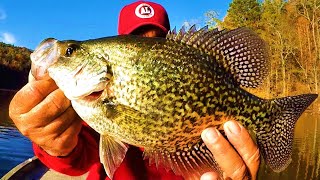 This Irresistible Bait Is A Crappie Catching Machine [upl. by Nibuz]