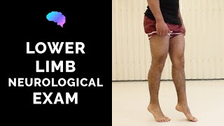 Lower Limb Neurological Examination  OSCE guide old version  UKMLA  CPSA [upl. by Brittaney]