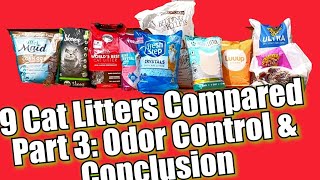 9 Cat Litters Review Part 3 Odor Control and Conclusion [upl. by Urba]