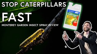 How to STOP Caterpillars from Eating your Plants Monterey Garden Insect Spray Review [upl. by Stochmal]