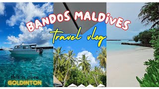 Bandos maldives resort and spa stay [upl. by Llovera]