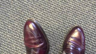 Alden 684 Shell cordovan penny loafer review [upl. by Aelhsa790]