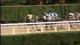 Tom Durkin Best Breeders Cup Race Calls [upl. by Ailahs]