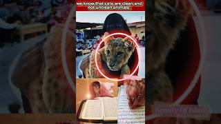 Cats in islam  cats are pure animal islmicshorts catlove islam allah [upl. by Adekahs]