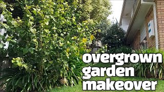 Overgrown garden makeover  Backyard transformation time lapse [upl. by Sairacaz]