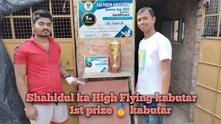 Shahidul ka High Flying kabutar ka shok  1st prize kabutar kabutar pigeon viral shorts [upl. by Llenyar]