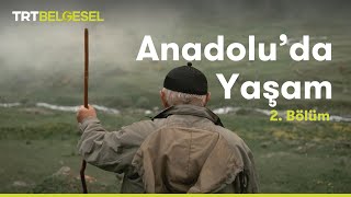 Anadoluda Yaşam  Yayla  TRT Belgesel [upl. by Aznecniv83]