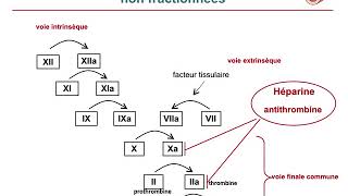 Pharmacologie des médicaments anticoagulantsCours commenté [upl. by Rianna]