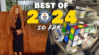 BEST OF 2024 so far Guinness World Records [upl. by Aienahs]