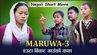 MARUWA 3 nepali short movie 2023  मरुवा ३  new nepali film 2079 [upl. by Gifford]