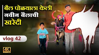 बैल पोळा सजावट Bailpola best video Bail pola bail sajavat Bendur bail pola 2022  vlog khilari [upl. by Neelie]