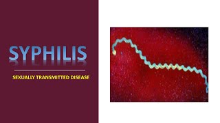 SYPHILIS II MEDICAL MICROBIOLOGY II SEXUALLY TRANSMITTED DISEASE STD [upl. by Augustin580]