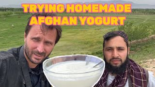 Croatian man tries HOME MADE AFGHAN YOGURT for the first time [upl. by Ainehs474]