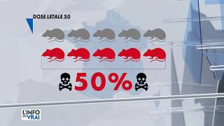 Glyphosate mode demploi  L’info du Vrai du 2609 – CANAL » [upl. by Nuahsar]