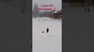 leysin travel SWITZERLAND naturemusic snow vaud aiglon aigle mountain swiss [upl. by Anialram283]