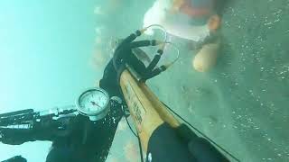 Puget sound diving [upl. by Avruch]