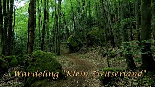 Wandeling 12 Mei 2024 Klein Zwitserland Luxemburg [upl. by Vitale898]